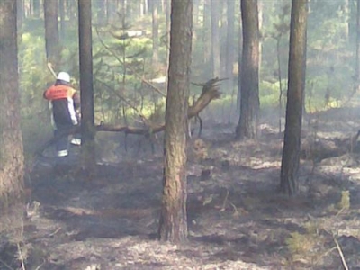 Waldbrand 16.04.2009_3