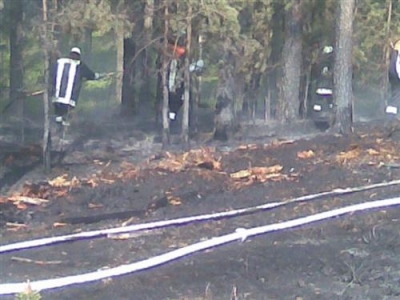Waldbrand 16.04.2009_4