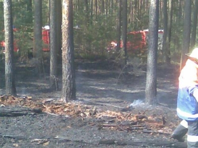 Waldbrand 16.04.2009_7