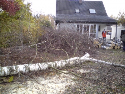 Baum 31.10.2009_30