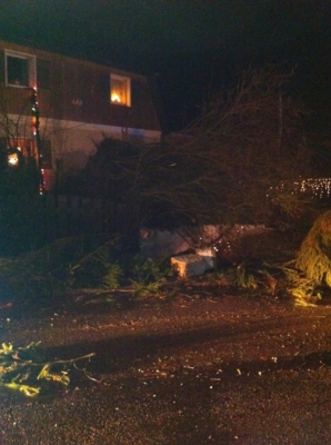 Sturmschaden 05.12.2011_7