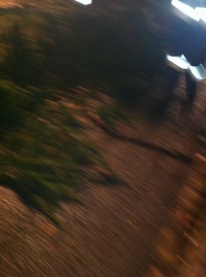 Sturmschaden 05.12.2011_12