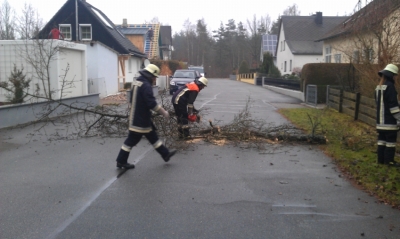 Baumfällarbeiten_4