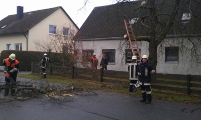 Baumfällarbeiten_6