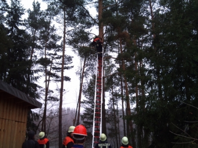 Baumfällarbeiten_1