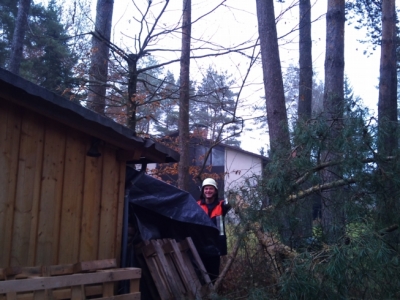 Baumfällarbeiten_11