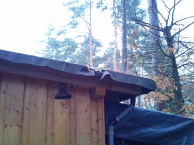 Baumfällarbeiten_14