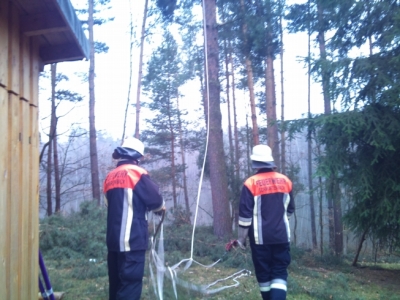 Baumfällarbeiten_30