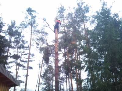 Baumfällarbeiten_32