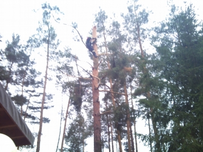 Baumfällarbeiten_33