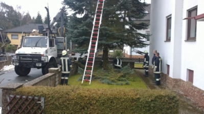 Christbaum für Kirche_2