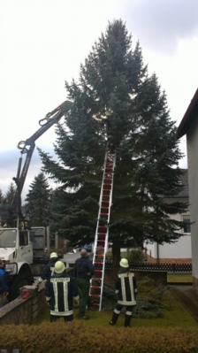 Christbaum für Kirche_3