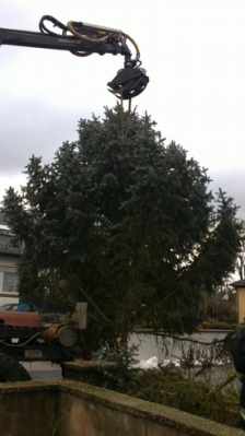 Christbaum für Kirche_19