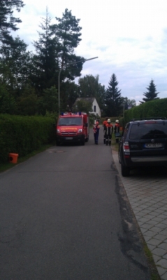 Baumfällarbeiten_6