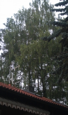 Baumfällarbeiten_9