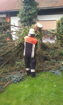 Baumfällarbeiten_20