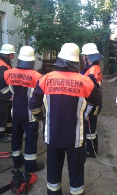 Baumfällarbeiten_24