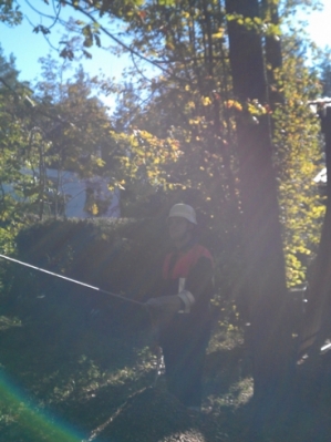 Baumfällarbeiten_16