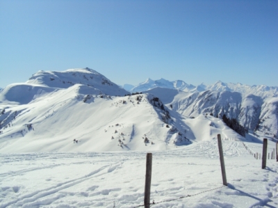 Skifahren Bayrisch Gmain_92