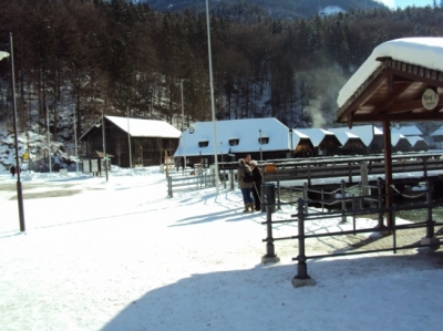 Skifahren Bayrisch Gmain_166