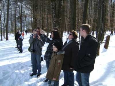 Skifahren Bayrisch Gmain_227