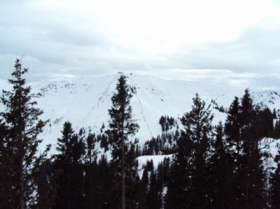 Skifahren Bayrisch Gmain_252