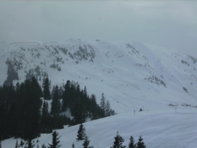 Skifahren Bayrisch Gmain_263
