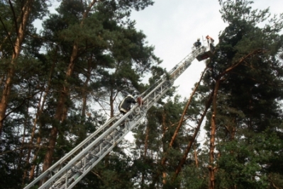 Baumfällarbeiten mit Drehleiter_10