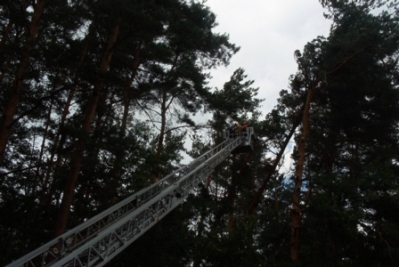 Baumfällarbeiten mit Drehleiter_11