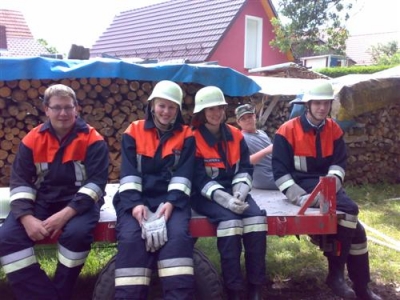 Brand eines Holzstoßes _10