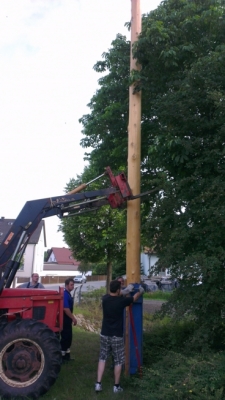 Maibaum-Umlegen_1