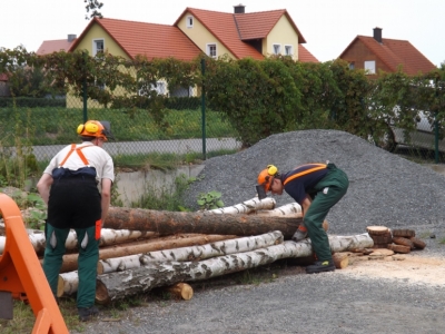 Motorsaegenkurs_Spannungsschnitte_20