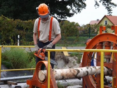 Motorsaegenkurs_Spannungsschnitte_41