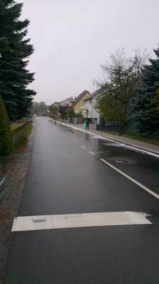20121012_THL_Oelspur_8