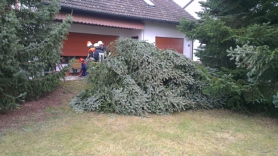 20121117_Motorsaegenumgang_10