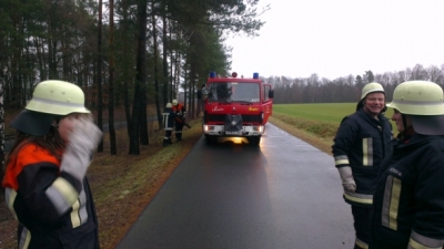20130105_THL_Baum_ueber_Fahrbahn_2