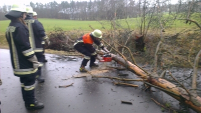 20130105_THL_Baum_ueber_Fahrbahn_4