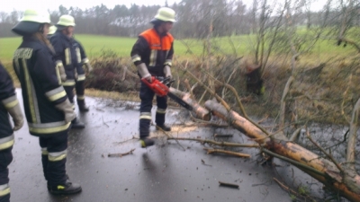 20130105_THL_Baum_ueber_Fahrbahn_5