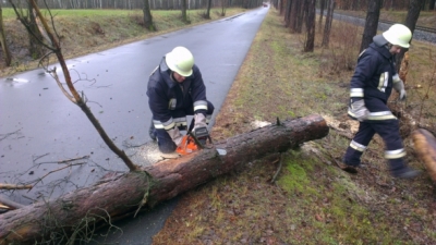 20130105_THL_Baum_ueber_Fahrbahn_6