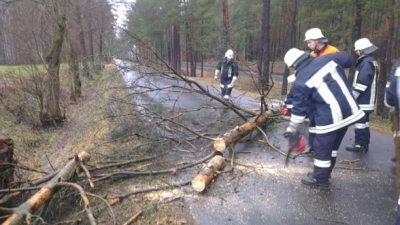 20130105_THL_Baum_ueber_Fahrbahn_7