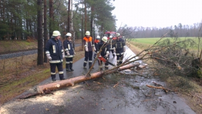 20130105_THL_Baum_ueber_Fahrbahn_9