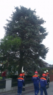 20130827_Umgang mit der Motorsäge_1