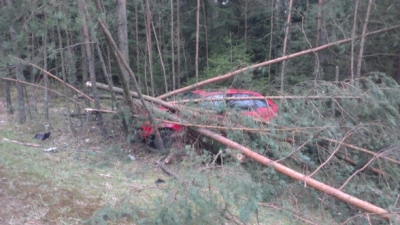 2014-04-10 PKW gg mehrere Bäume_2