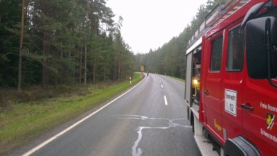 2014-04-10 PKW gg mehrere Bäume_3
