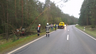 2014-04-10 PKW gg mehrere Bäume_4