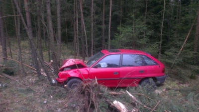 2014-04-10 PKW gg mehrere Bäume_8